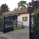 Rose Balatonlelle