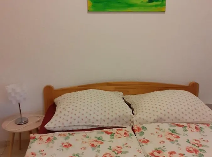 Rose 巴拉通雷勒