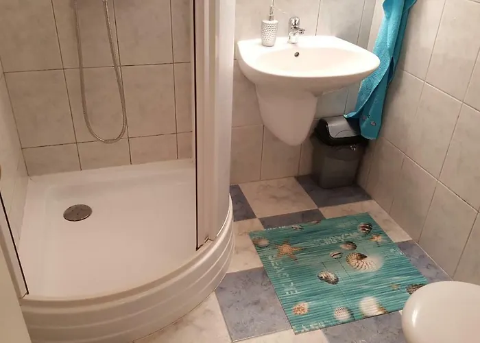 Rose 巴拉通雷勒