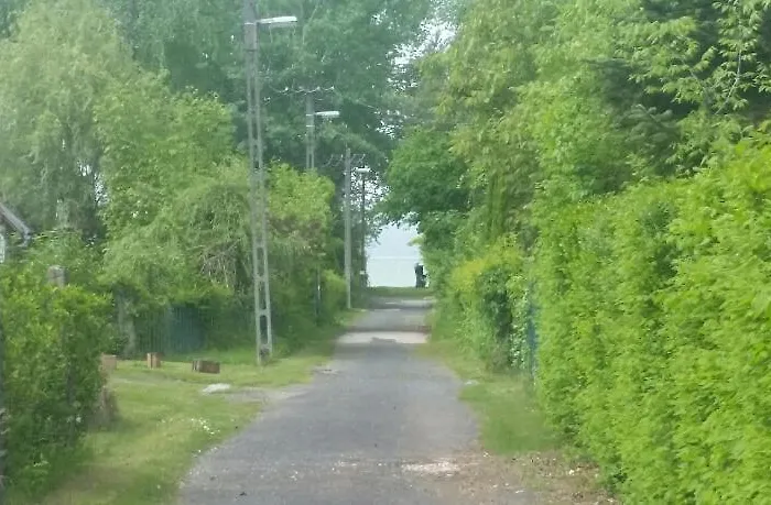 Rose * 巴拉通雷勒